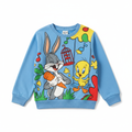 Looney Tunes Jumper for kids