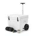 Esky on Wheels